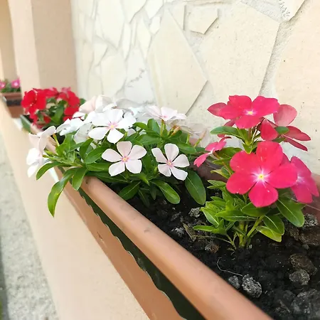 Enci Apartment